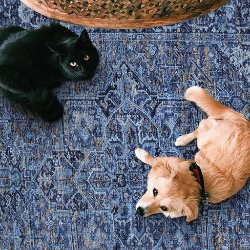 سجادة RealLife قابلة للغسل في الغسالة - سجادة غرفة المعيشة وغرفة النوم والحمام والمطبخ ومدخل المكتب - مبطنة منخفضة الوبر مقاومة للبقع - بوهو فينتاج تقليدي - لايل - أزرق 2'6" × 8' in Kuwait