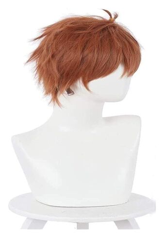 Kinoshita Kazuya Cosplay Wig Hair Role Play Halloween Christmas Comic Convention Costume Party Wigs + Wig Cap in Kuwait