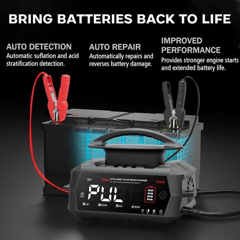 30 AMP Battery Charger, 6V/12V/24V Lead-Acid, Lithium, LiFePo4 Smart Battery Charger, Portable Large Screen Trickle Charger, Fully Automatic Chargers and Maintainer for Car, Motorcycle, Lawn Mower in Saudi Arabia