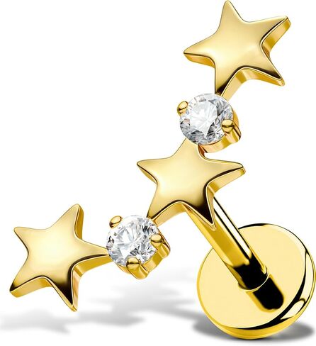 Star Helix Piercing Jewelry 18G Helix Earrings for Women 318L Stainless Steel Internally Thread Conch Helix Stud Flat Back Cartilage Earring for Women in Saudi Arabia
