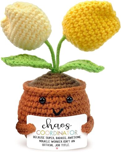 تفاصيل صغيرة من زهور التوليب الكروشيه الإيجابية، هدايا منسق الفوضى للرجال في عيد الميلاد، هدية تشجيع للنساء، هدايا شكر لزملاء العمل، الرئيس، المعلم، الممرضة، الطبيب in Kuwait