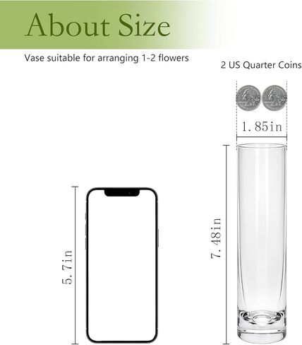 مزهريات Brajttt بطول 7.48 بوصة للزهور، مزهرية أسطوانية زجاجية 12 قطعة، مزهرية برعم وردة واحدة لديكور الأحداث، مزهريات برعم بكميات كبيرة لقطع الزفاف المركزية، ديكور مكتب جمالي منزلي، ديكورات الحفلات in Kuwait