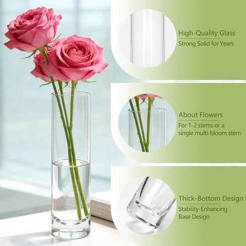 مزهريات Brajttt بطول 7.48 بوصة للزهور، مزهرية أسطوانية زجاجية 12 قطعة، مزهرية برعم وردة واحدة لديكور الأحداث، مزهريات برعم بكميات كبيرة لقطع الزفاف المركزية، ديكور مكتب جمالي منزلي، ديكورات الحفلات in Kuwait