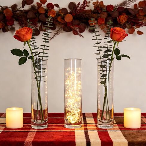 مزهريات Brajttt بطول 7.48 بوصة للزهور، مزهرية أسطوانية زجاجية 12 قطعة، مزهرية برعم وردة واحدة لديكور الأحداث، مزهريات برعم بكميات كبيرة لقطع الزفاف المركزية، ديكور مكتب جمالي منزلي، ديكورات الحفلات in Kuwait