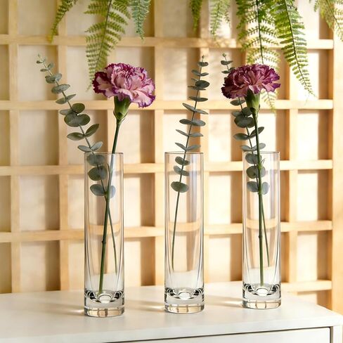 مزهريات Brajttt بطول 7.48 بوصة للزهور، مزهرية أسطوانية زجاجية 12 قطعة، مزهرية برعم وردة واحدة لديكور الأحداث، مزهريات برعم بكميات كبيرة لقطع الزفاف المركزية، ديكور مكتب جمالي منزلي، ديكورات الحفلات in Kuwait