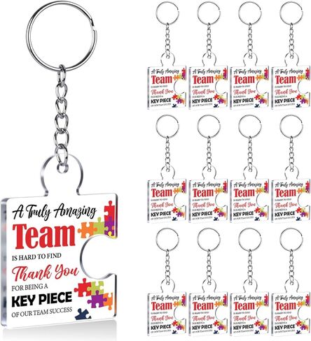 12 Pcs Team Employee Appreciation Gifts for Coworkers, Thank You Bulk Gifts for Staff Colleagues Teachers Volunteers, a Truly Amazing Team Is Hard to Find Acrylic Puzzle Piece Keychains in Saudi Arabia