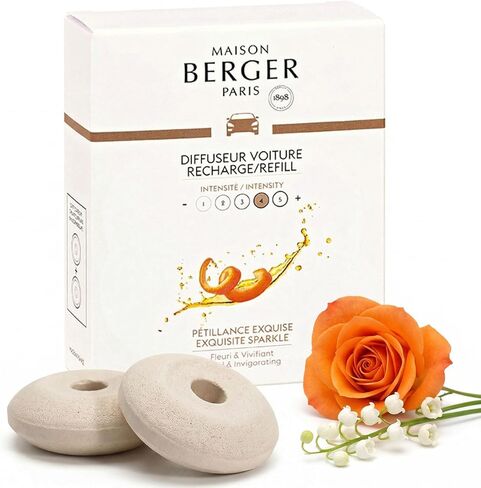 Set of 2 Ceramic Pods for Refillable Car Air Freshener Vent Clip Diffuser - 4/6 Weeks Diffusion Time - Maison Berger Fragrance and Scent - Anti Tobacco Odor - Made in France in Kuwait