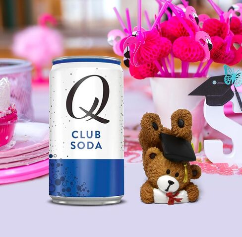 Gift Boutique Graduation Bear Figurines Table Top Decor Set of 4 Mini Teddy Bears Congrats Grad Resin Graduate Tabletop Figures for Grads Nursing Medical School Gift & Mantle Desk Shelf Home Decorats in Saudi Arabia