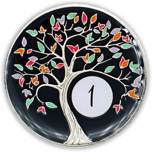 The Token Shop 1 Year Tree of Life Sobriety Chip with Black AA Coin Holder Keychain Set in Saudi Arabia