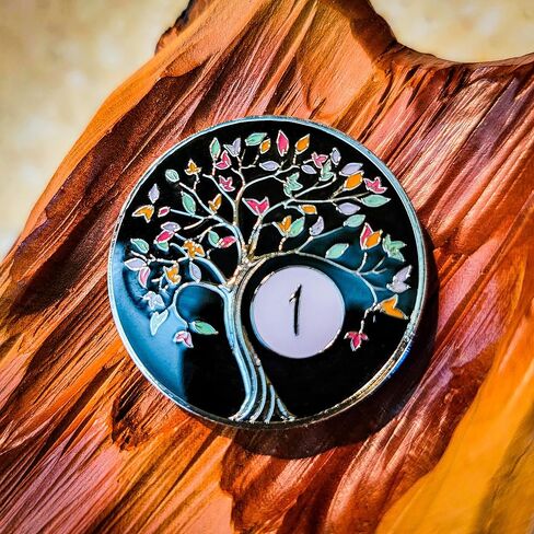 The Token Shop 1 Year Tree of Life Sobriety Chip with Black AA Coin Holder Keychain Set in Saudi Arabia