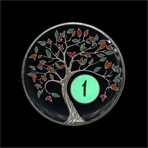 The Token Shop 1 Year Tree of Life Sobriety Chip with Black AA Coin Holder Keychain Set in Saudi Arabia