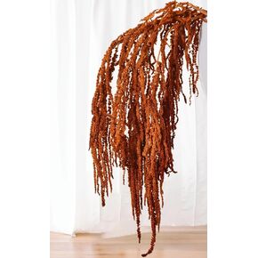 5 Stems Preserved Dried Brown Amaranthus Flowers - 23–27" Hanging Stems for Wedding Centerpieces, Arch & Vase Arrangements, Natural Soft Dried Flower Stems for Home & Event Decor in Saudi Arabia
