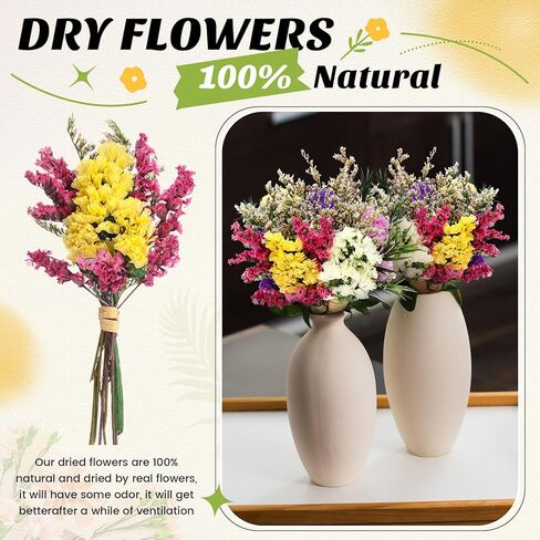 Nuanchu 60 Pcs Mini Dried Floral Flower Forget Me Not Bouquets Dried Embossing Flowers with Stem for Vase, Wedding, DIY Scrapbook Card Party Decor (Classic) in Saudi Arabia