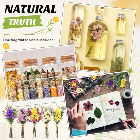 Nuanchu 60 Pcs Mini Dried Floral Flower Forget Me Not Bouquets Dried Embossing Flowers with Stem for Vase, Wedding, DIY Scrapbook Card Party Decor (Classic) in Saudi Arabia