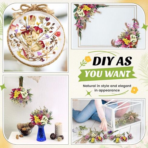 Nuanchu 60 Pcs Mini Dried Floral Flower Forget Me Not Bouquets Dried Embossing Flowers with Stem for Vase, Wedding, DIY Scrapbook Card Party Decor (Classic) in Saudi Arabia