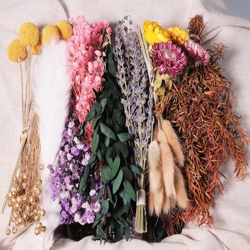 10 Kinds Natural Dried Flower Set, Bulk Dried Flowers for Vase,Mini Dried Flower Bouquets,Dried Flowers with Stems for DIY Crafts, Vase Decor,Home/Wedding/Birthday Decor(7.9-9.84in Flexible Stems) in Saudi Arabia