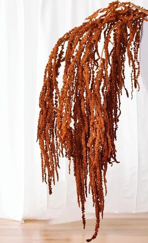 5 Stems Preserved Dried Brown Amaranthus Flowers - 23–27" Hanging Stems for Wedding Centerpieces, Arch & Vase Arrangements, Natural Soft Dried Flower Stems for Home & Event Decor in Saudi Arabia