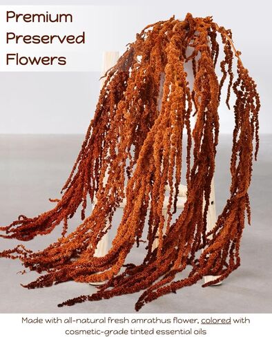 5 Stems Preserved Dried Brown Amaranthus Flowers - 23–27" Hanging Stems for Wedding Centerpieces, Arch & Vase Arrangements, Natural Soft Dried Flower Stems for Home & Event Decor in Saudi Arabia