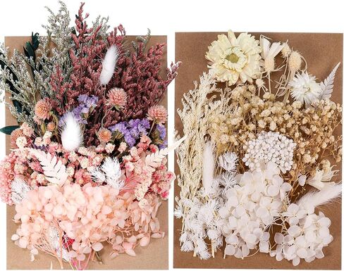 2Pack Real Dried Flowers, Natural Dry Flowers Mixed Natural Pressed Flowers Flores Secas Dried Florals for Crafts,Resin,Candle Making in Saudi Arabia