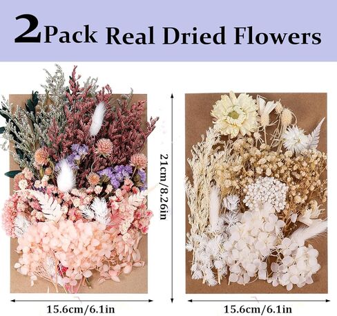 2Pack Real Dried Flowers, Natural Dry Flowers Mixed Natural Pressed Flowers Flores Secas Dried Florals for Crafts,Resin,Candle Making in Saudi Arabia