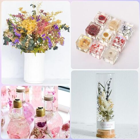 2Pack Real Dried Flowers, Natural Dry Flowers Mixed Natural Pressed Flowers Flores Secas Dried Florals for Crafts,Resin,Candle Making in Saudi Arabia