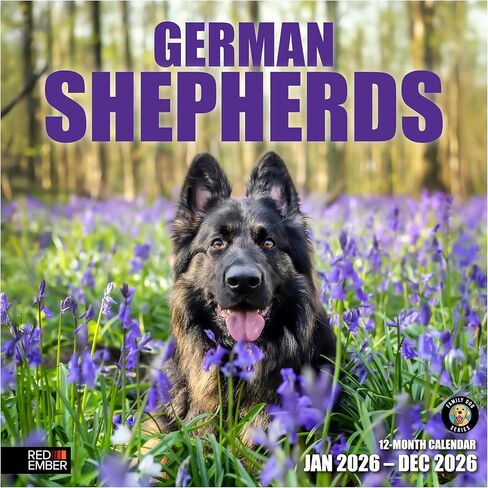 RED EMBER German Shepherds 2026 Wall Calendar 12 Month | 12" x 24" Open | Thick & Sturdy Paper | Holiday Gift | Cute Puppy Dog Calendar 2026 in Saudi Arabia