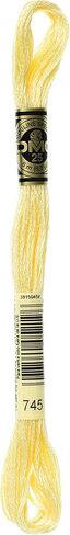 DMC 117-815 6 Strand Embroidery Cotton Floss, Medium Garnet, 8.7-Yard in Saudi Arabia