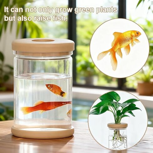 Plant Propagation Station, Desktop Decorative Glass Propagation Bottle - Transparent Hydroponic Vase with Cork Lid, Ideal for Indoor Planting in Saudi Arabia