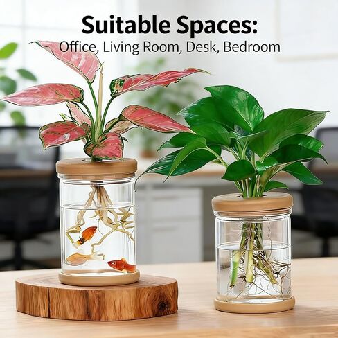 Plant Propagation Station, Desktop Decorative Glass Propagation Bottle - Transparent Hydroponic Vase with Cork Lid, Ideal for Indoor Planting in Saudi Arabia