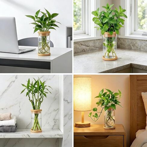 Plant Propagation Station, Desktop Decorative Glass Propagation Bottle - Transparent Hydroponic Vase with Cork Lid, Ideal for Indoor Planting in Saudi Arabia