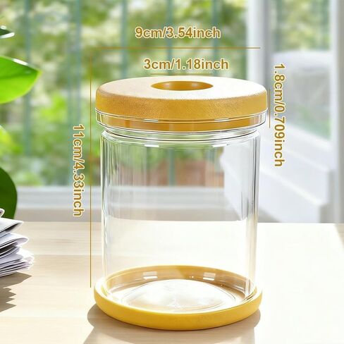 Plant Propagation Station, Desktop Decorative Glass Propagation Bottle - Transparent Hydroponic Vase with Cork Lid, Ideal for Indoor Planting in Saudi Arabia