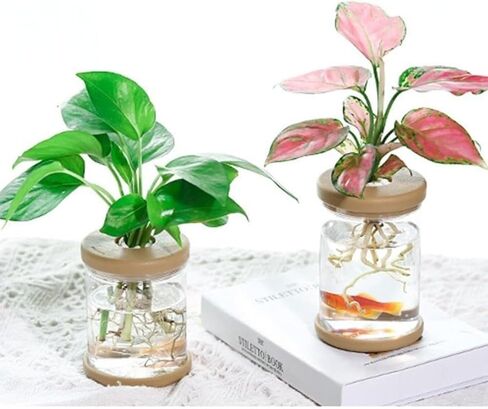 Plant Propagation Station, Desktop Decorative Glass Propagation Bottle - Transparent Hydroponic Vase with Cork Lid, Ideal for Indoor Planting in Saudi Arabia