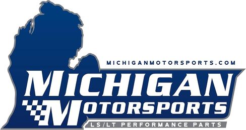 Michigan Motorsports .550" Lift Beehive LS6 Valve Springs with Seals | Fits GM LS Engines 4.8L 5.3L 6.0L 6.2L LS1 LS2 LS3 LS6 LQ4 LQ9 | Direct Replacement for GM 12713265 in Saudi Arabia