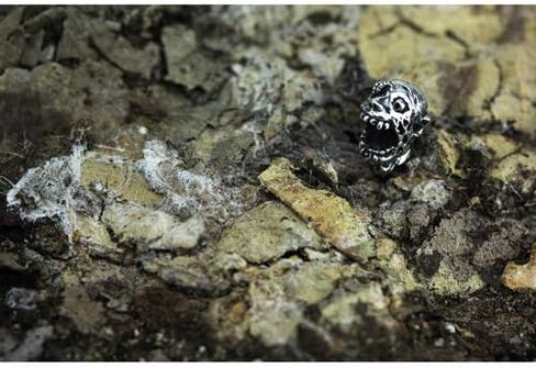OHM Chase Skinner Sterling Silver Bead in Kuwait