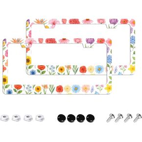 إطارات لوحة ترخيص الرسوم المتحركة - عبوتان مكونتان من فتحتين من الفولاذ المقاوم للصدأ وإكسسوارات السيارات المعدنية لتزيين لوحة الترخيص غطاء إطاري 12.2 بوصة × 6.3 بوصة للنساء والرجال in Kuwait