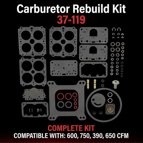Carburetor Rebuild Kit 37-119 Compatible with Holley 4160 Series Vacuum Secondary 600 750 390 650 CFM 1850 8007 80457 80508 3310 Replaces 159064 37-754 37-720 37-1542 in Saudi Arabia