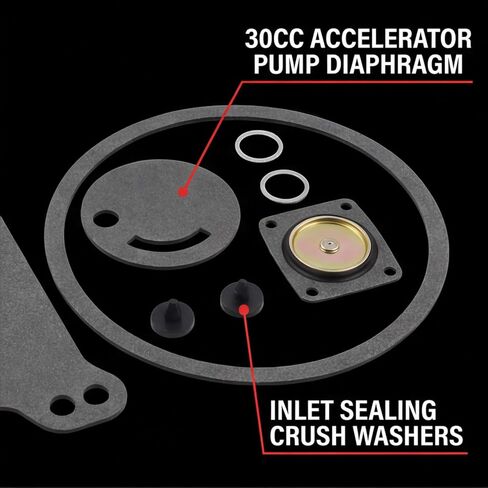 Carburetor Rebuild Kit 37-119 Compatible with Holley 4160 Series Vacuum Secondary 600 750 390 650 CFM 1850 8007 80457 80508 3310 Replaces 159064 37-754 37-720 37-1542 in Saudi Arabia