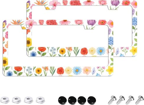 إطارات لوحة ترخيص الرسوم المتحركة - عبوتان مكونتان من فتحتين من الفولاذ المقاوم للصدأ وإكسسوارات السيارات المعدنية لتزيين لوحة الترخيص غطاء إطاري 12.2 بوصة × 6.3 بوصة للنساء والرجال in Kuwait