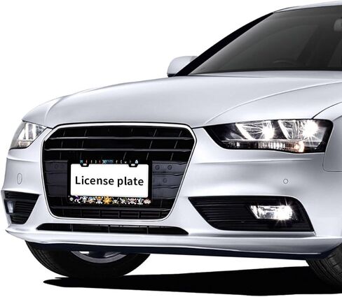Anime License Plate Frames - 2 Pack 2 Holes Stainless Steel Metal Auto Car Accessories Decoration License Plate Frame Cover 12.2" x 6.3" for Women Men in Saudi Arabia