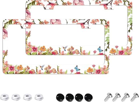 Anime License Plate Frames - 2 Pack 2 Holes Stainless Steel Metal Auto Car Accessories Decoration License Plate Frame Cover 12.2" x 6.3" for Women Men in Saudi Arabia