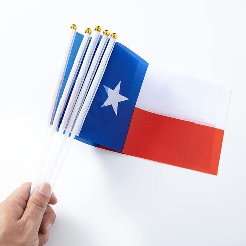 WXTWK 12 Pack American USA Texas Desk Flag Small Mini US Texas State Table Flags With Stand Base Festival Events Celebration Decorations in Kuwait
