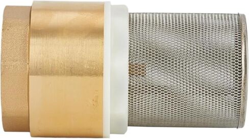 1/2" 3/4" 1" 1-1/4" 1-1/2" 2" BSP Female Thread Brass Non Return Check Valve with Steel Strainer Filter(1/2") in Saudi Arabia