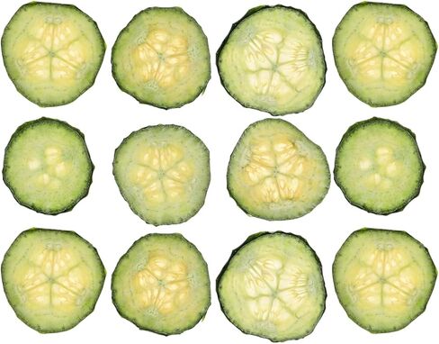 12pcs Real Dried Cucumber Slices Natural Pressed Cucumber Props Fruit Vegetables Model for Resin Art, DIY Crafts, Jewelry Making, Soap & Candle Decor Green - 1.34inch in Saudi Arabia