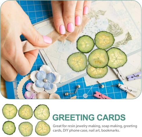12pcs Real Dried Cucumber Slices Natural Pressed Cucumber Props Fruit Vegetables Model for Resin Art, DIY Crafts, Jewelry Making, Soap & Candle Decor Green - 1.34inch in Saudi Arabia