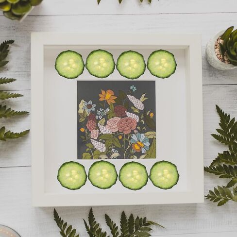 12pcs Real Dried Cucumber Slices Natural Pressed Cucumber Props Fruit Vegetables Model for Resin Art, DIY Crafts, Jewelry Making, Soap & Candle Decor Green - 1.34inch in Saudi Arabia