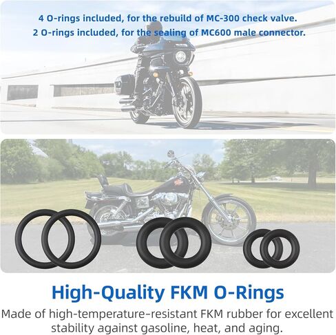 طقم إصلاح صمام فحص الوقود لموديلات Harley-Davidson EFI 1999-2022، يتضمن صمام فحص أداة الوقود MC-300، حلقات O-MC-600، أختام FKM، زنبرك من الفولاذ المقاوم للصدأ، 8 عبوات in Kuwait