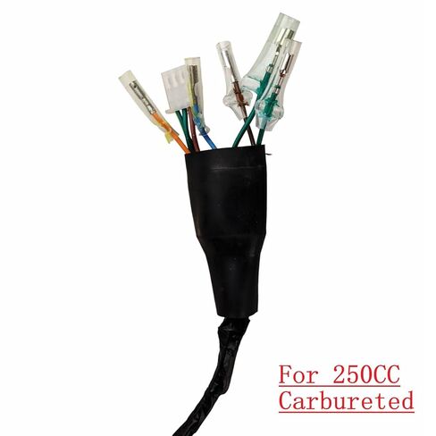 RedCap BSR250 Wire Harness for Compatible with RPS Hawk 250 Cougar Cycle Raven BSR 250cc Xmoto X88 Carb Gator 250RTS DF250RTS Replaces 22000-LA73-0903 in Saudi Arabia