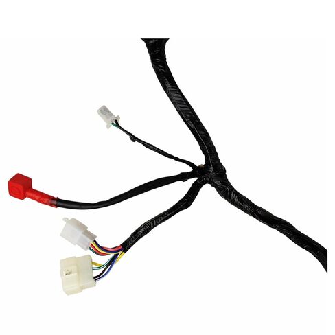 RedCap BSR250 Wire Harness for Compatible with RPS Hawk 250 Cougar Cycle Raven BSR 250cc Xmoto X88 Carb Gator 250RTS DF250RTS Replaces 22000-LA73-0903 in Saudi Arabia