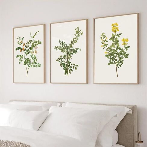 NATVVA Set Of 3 Botanical Prints Vintage Floral Poster Green Plant Painting Wall Pictures Artwork for Kitchen Bedroom Home Farmhouse Decor with Wooden Inner Frame in Saudi Arabia