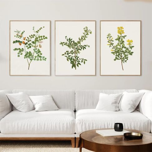 NATVVA Set Of 3 Botanical Prints Vintage Floral Poster Green Plant Painting Wall Pictures Artwork for Kitchen Bedroom Home Farmhouse Decor with Wooden Inner Frame in Saudi Arabia